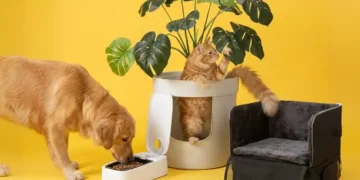 ARCAPLANET: snack deliziosi e salutari per ogni cane