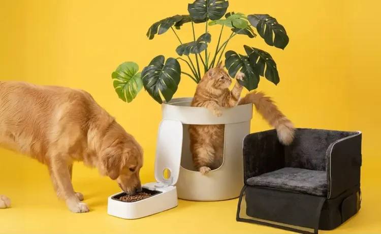 ARCAPLANET: snack deliziosi e salutari per ogni cane