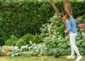 Bosch-Rasentrimmer: Präzisionswerkzeuge für ein perfektes Garten-Finish