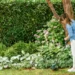 Bosch-Rasentrimmer: Präzisionswerkzeuge für ein perfektes Garten-Finish