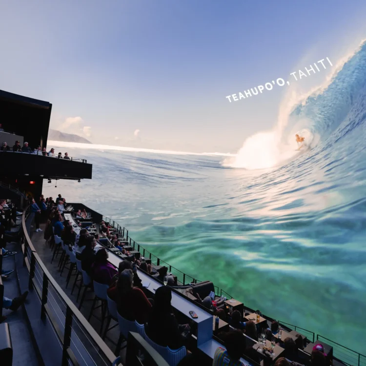 Elevate Your Next Social Gathering With Best Shared Reality