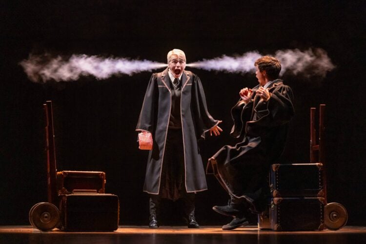 Harry Potter and the Cursed Child: A Magical Entertainment Brand and Merchandise Collection
