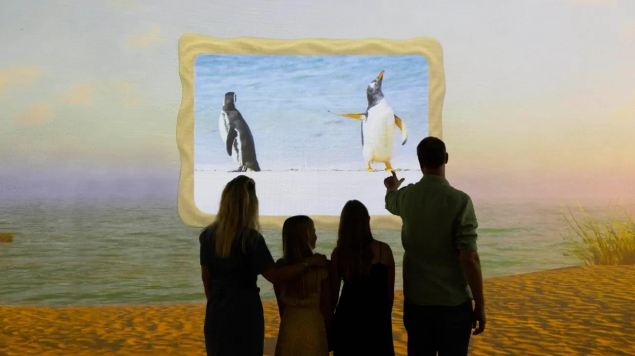 A playful beach wildlife photograph in the Comedy Wildlife Awards experience