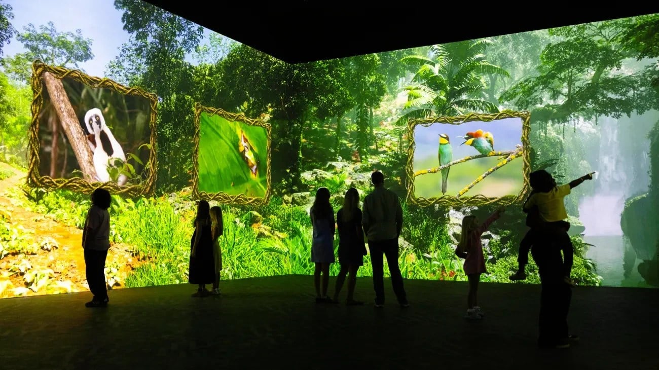 Expressive jungle animals featured in the Comedy Wildlife Awards experience
