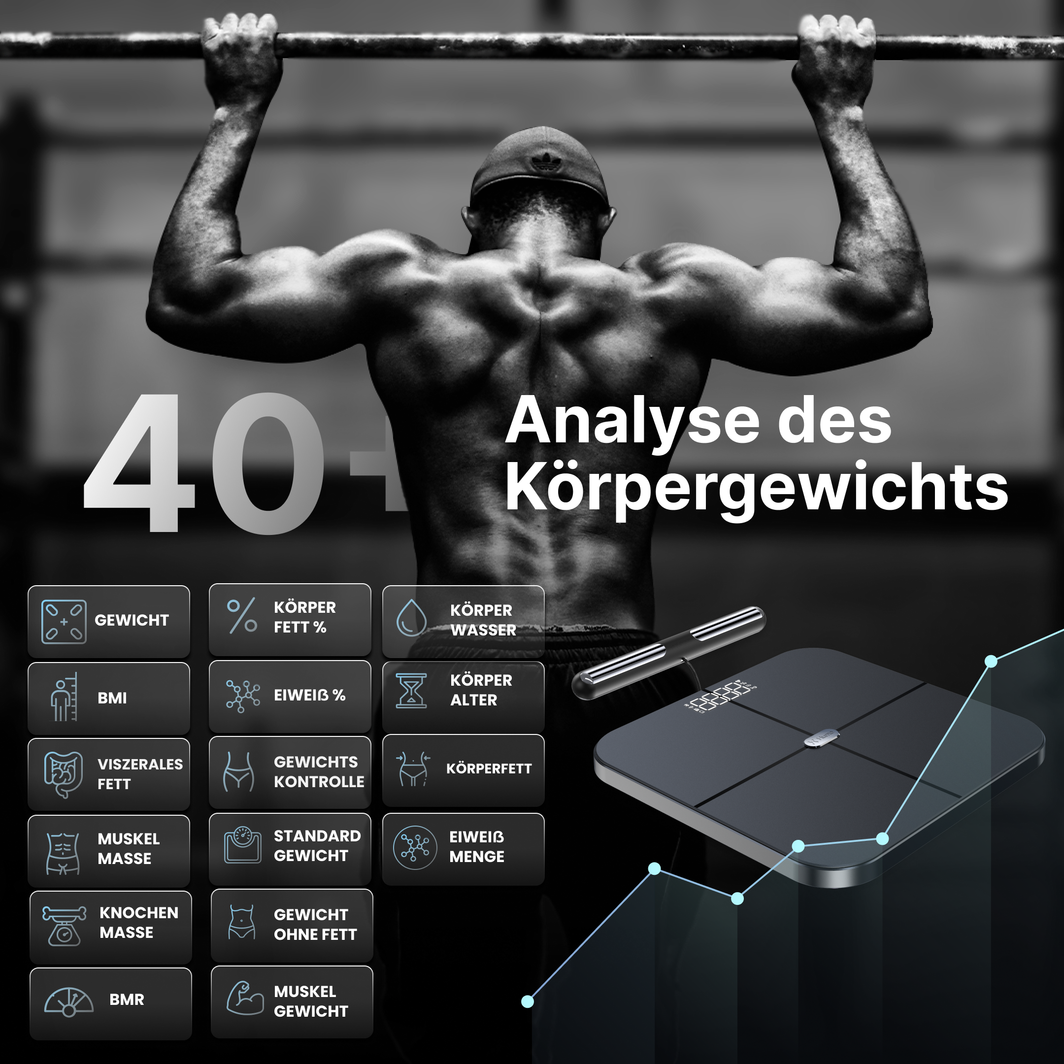 Hume Body Check als Produktdarstellung