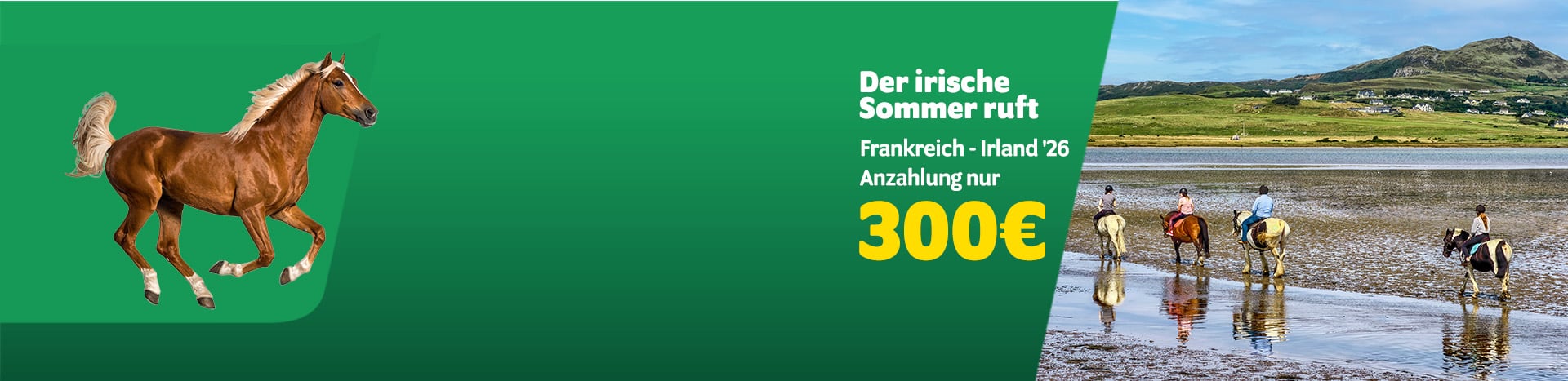 Irish Ferries travel booking offer