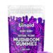 Astral Plane Mushroom Gummies berry package