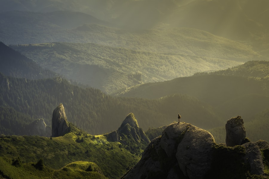 Mountain landscape and green nature