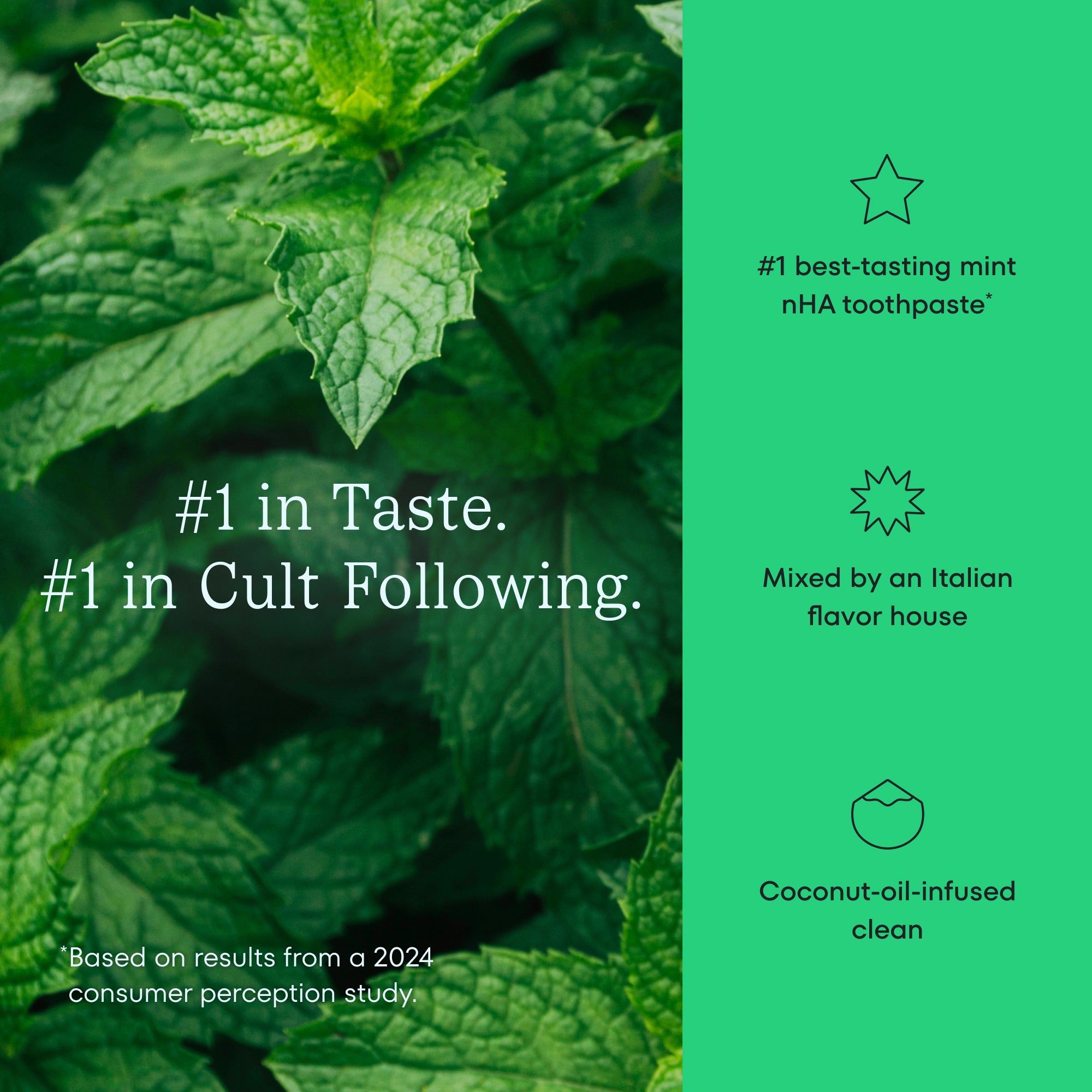 Cocoshine Delightful Mint flavor marketing graphic