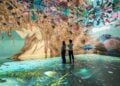 Visitors surrounded by the Dawn of Venus projection inside Frameless