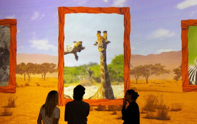 The Nikon Comedy Wildlife Awards artwork promoted for Frameless Lates