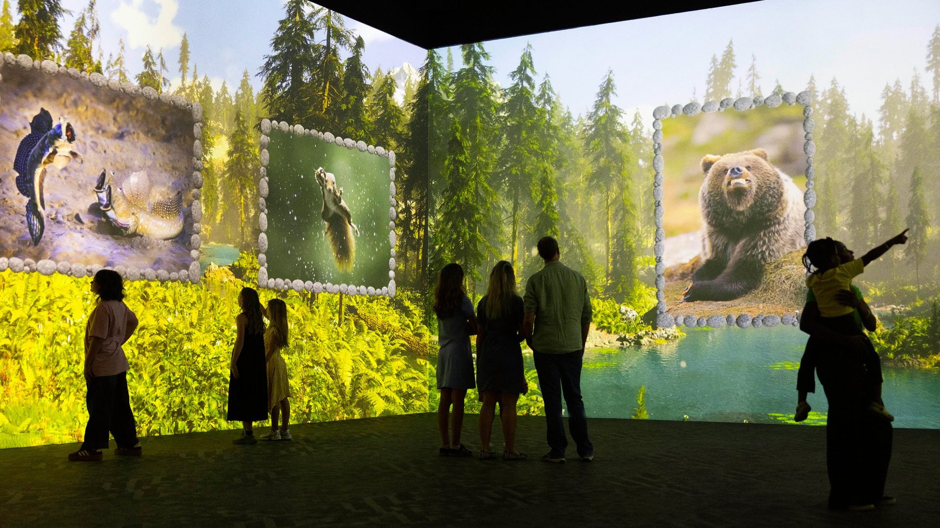 Immersive wildlife photography projected inside Frameless