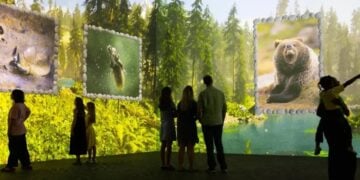 Visitors exploring the forest habitat in The Nikon Comedy Wildlife Awards immersive experience at Frameless