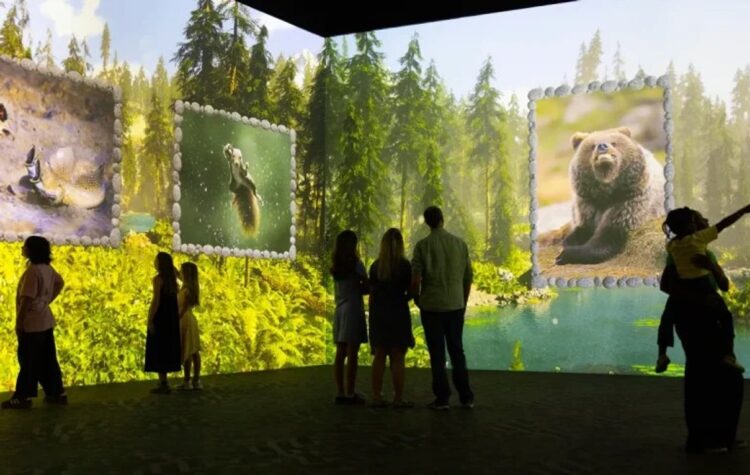 Visitors exploring the forest habitat in The Nikon Comedy Wildlife Awards immersive experience at Frameless