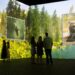 Visitors exploring the forest habitat in The Nikon Comedy Wildlife Awards immersive experience at Frameless