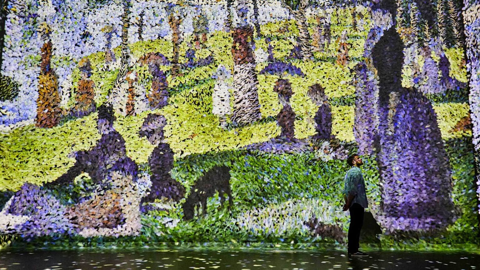 Seurat artwork projected in the Colour In Motion gallery at Frameless