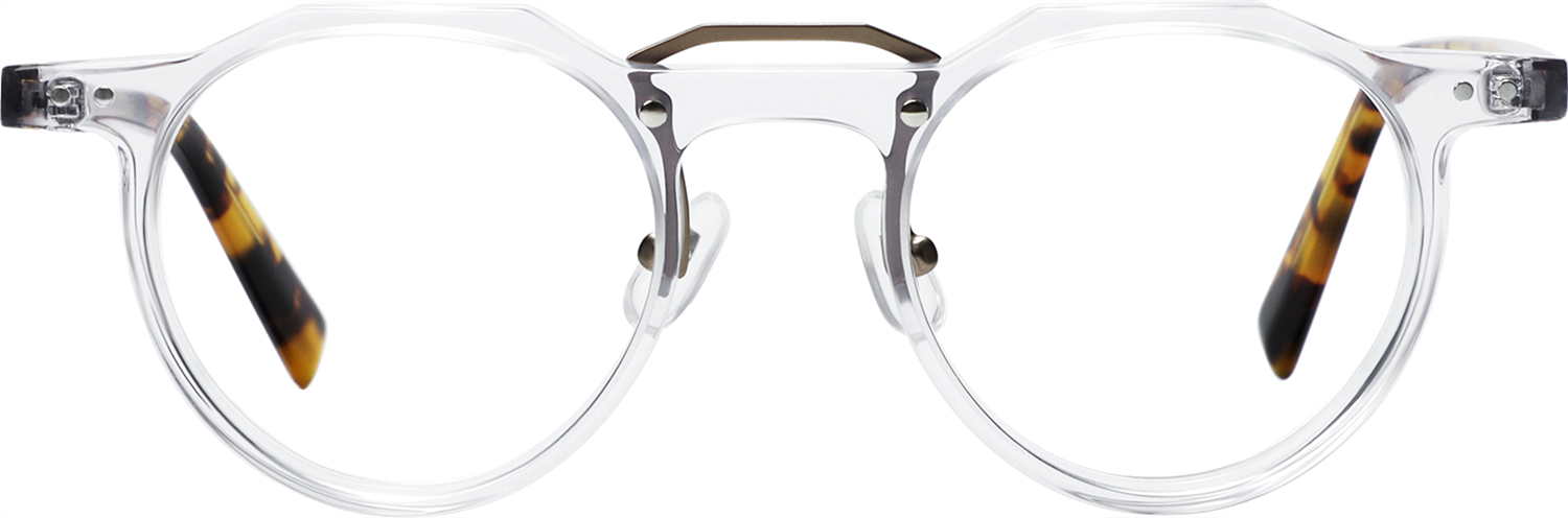 Fytoo Werner transparent eyeglasses shown as a single product