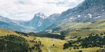 Alpine mountain valley landscape