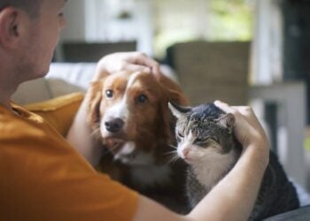 Pet owner with a cat and dog at home