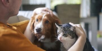 Pet owner with a cat and dog at home