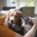 Pet owner with a cat and dog at home