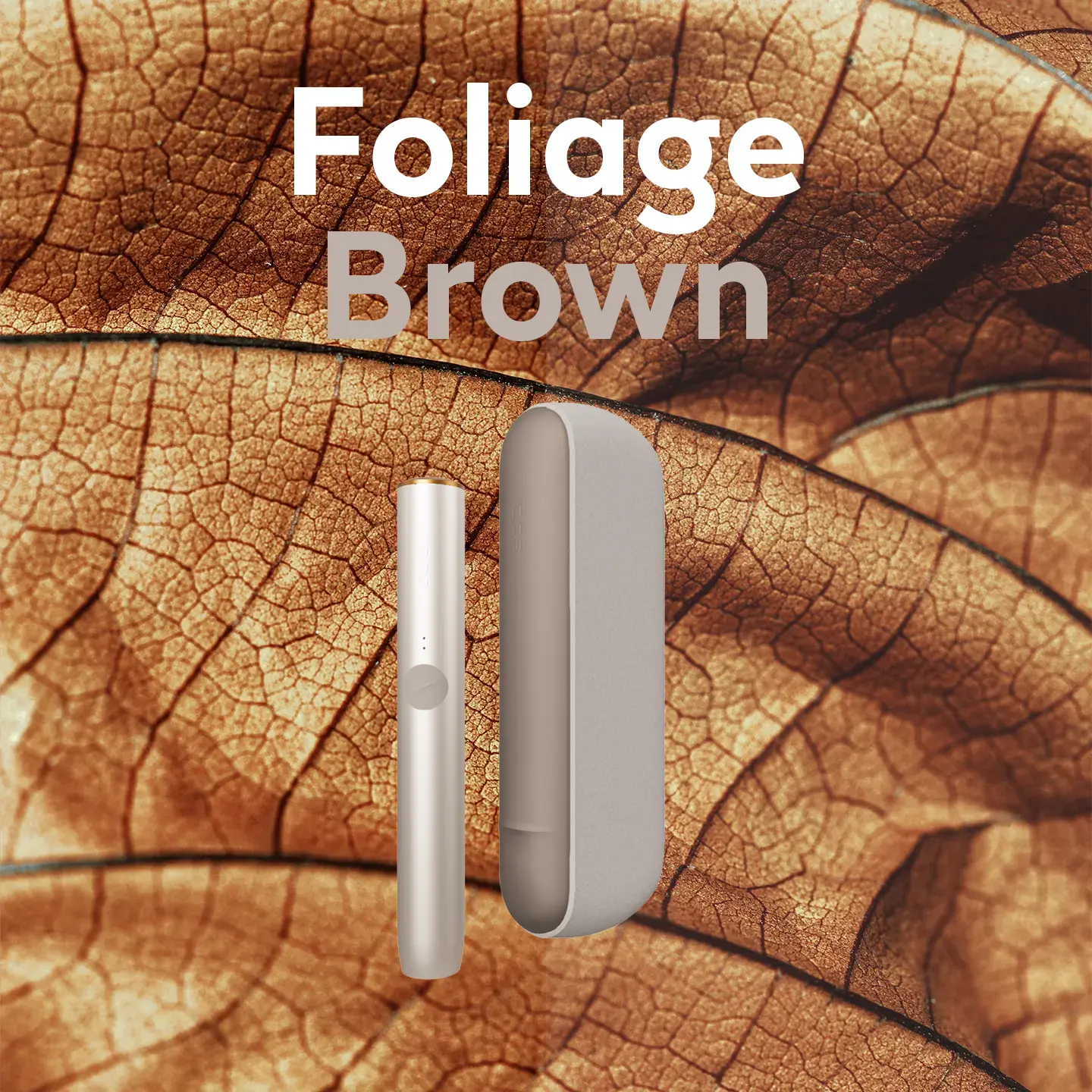 Combinazione Foliage Brown per personalizzare un dispositivo IQOS