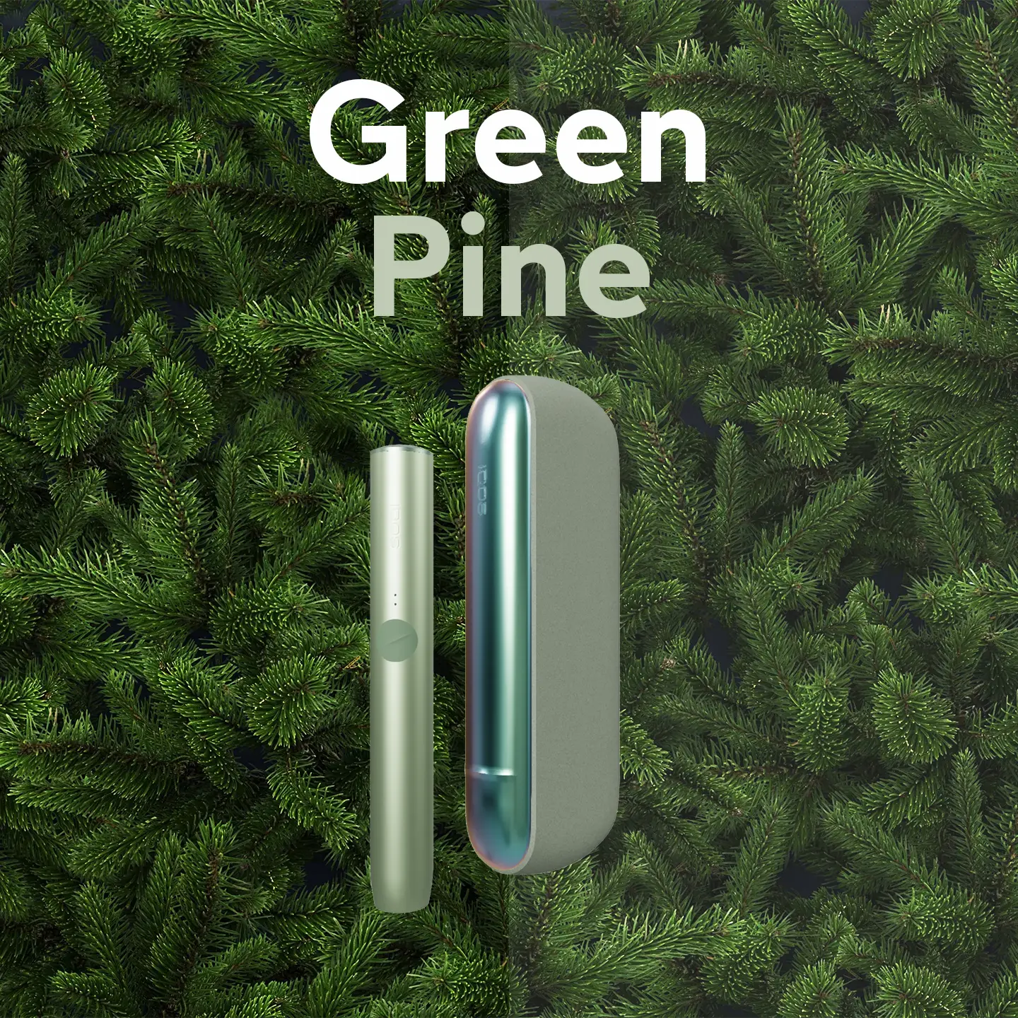 Combinazione Green Pine per personalizzare un dispositivo IQOS
