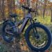 Puckipuppy fat tire ebike in a woodland setting