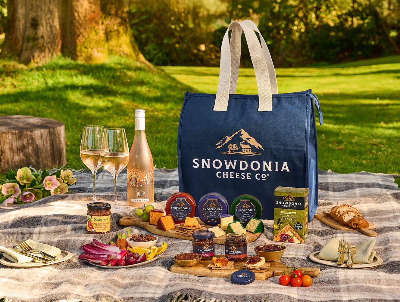 Cheese, chutney and rosé wine picnic cool bag