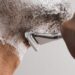 Person shaving with a razor