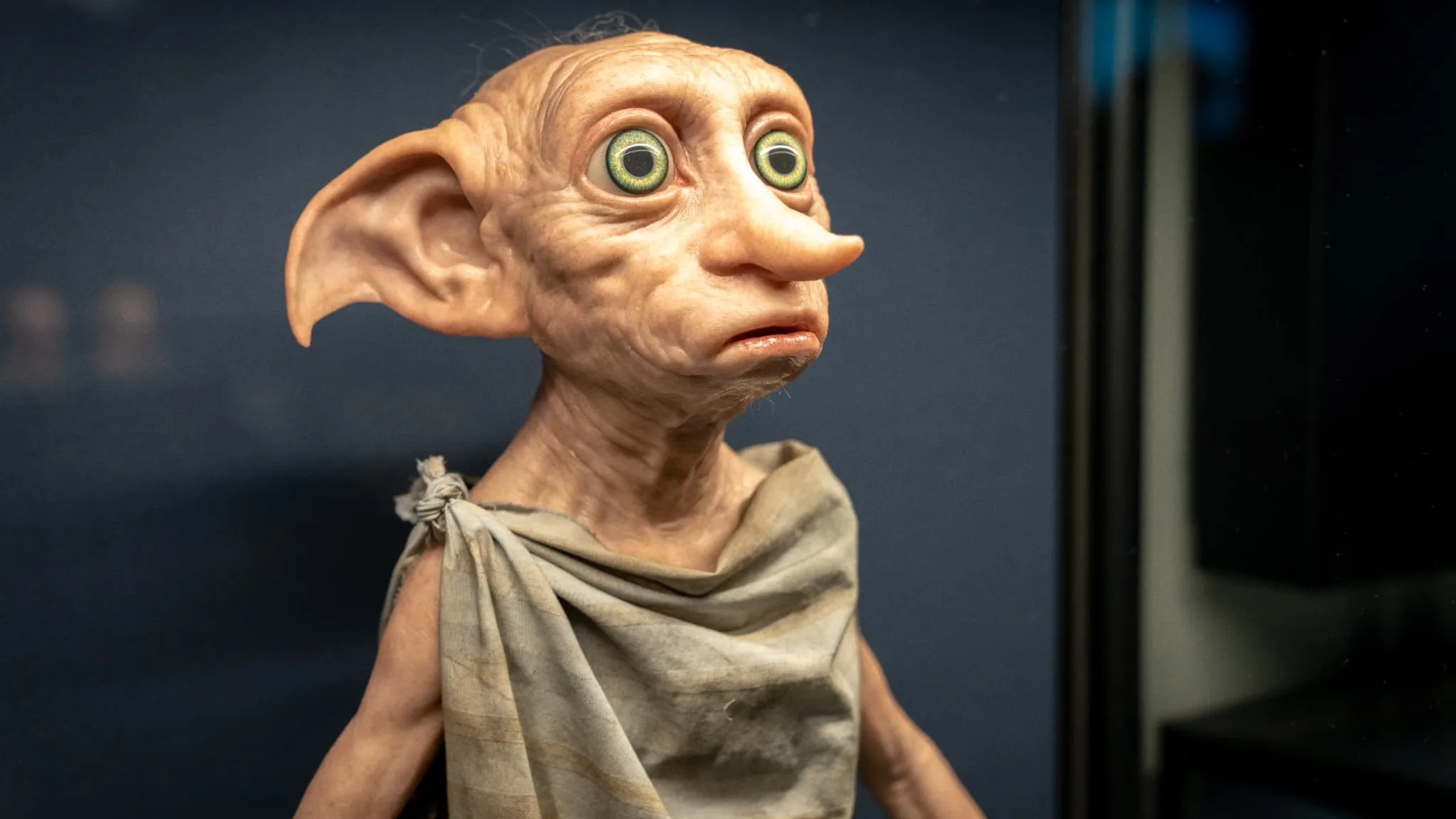 Creature effects display featuring Dobby at Warner Bros. Studios Japan
