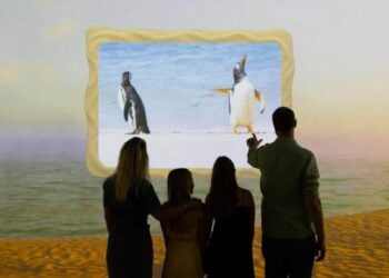 Comedy wildlife projection showing an animal beach habitat at Frameless