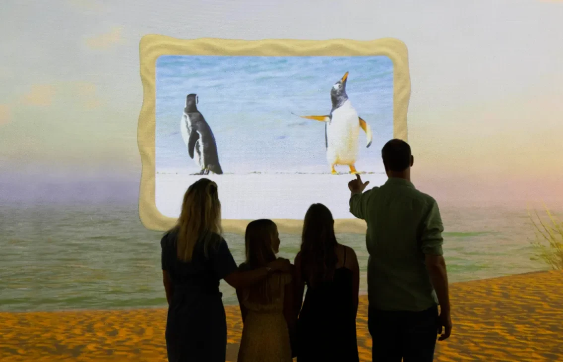 Comedy Wildlife beach artwork at Frameless presents a separate playful gallery scene.
