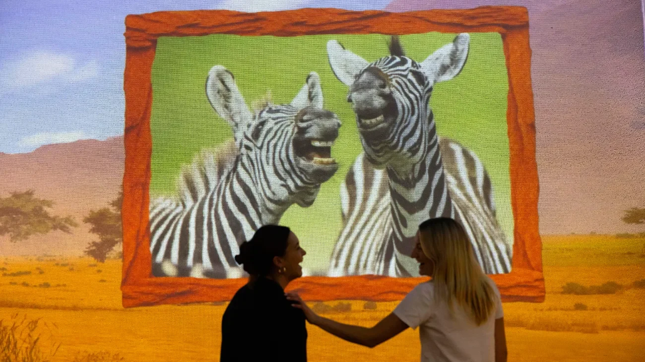 A Comedy Wildlife Awards photograph displayed in the Frameless residency