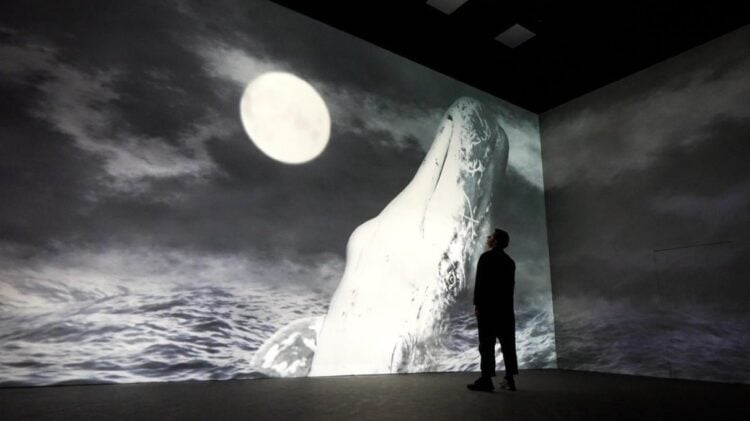 Visitors encounter a large illuminated whale image inside Frameless