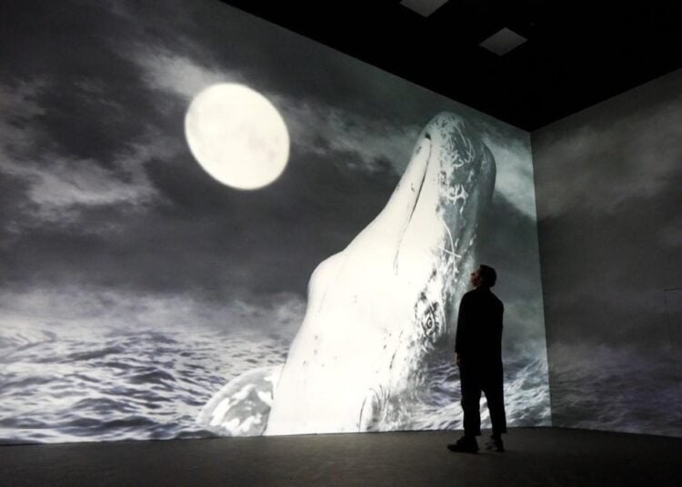 Visitors encounter a large illuminated whale image inside Frameless