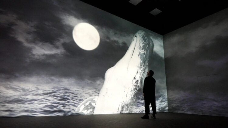 The Whale residency image displayed at Frameless