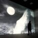 The Whale residency image displayed at Frameless