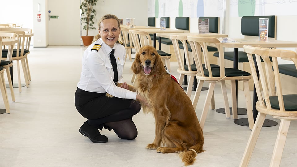 Pet area aboard Isle of Innisfree