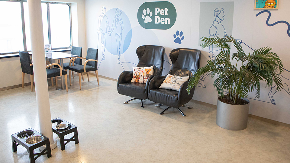 Pet area aboard James Joyce